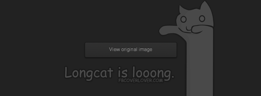 longcat facebook banner