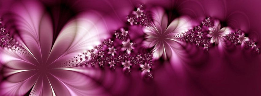 flower wallpapers for facebook cover page